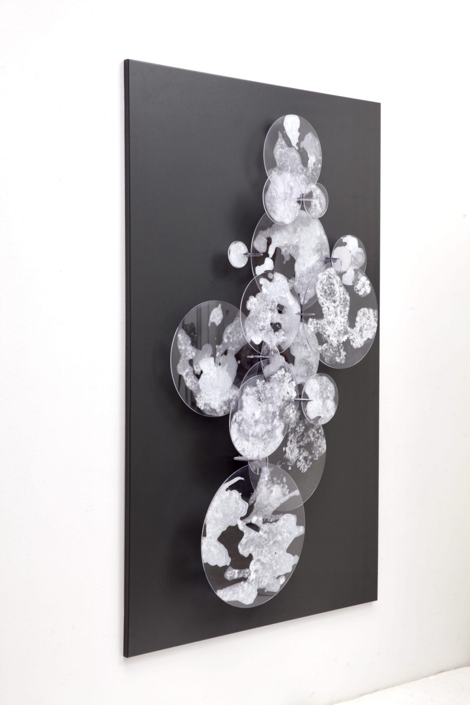 And Still I Rise: 20 Women Artists Reclaim the Australian Art Narrative