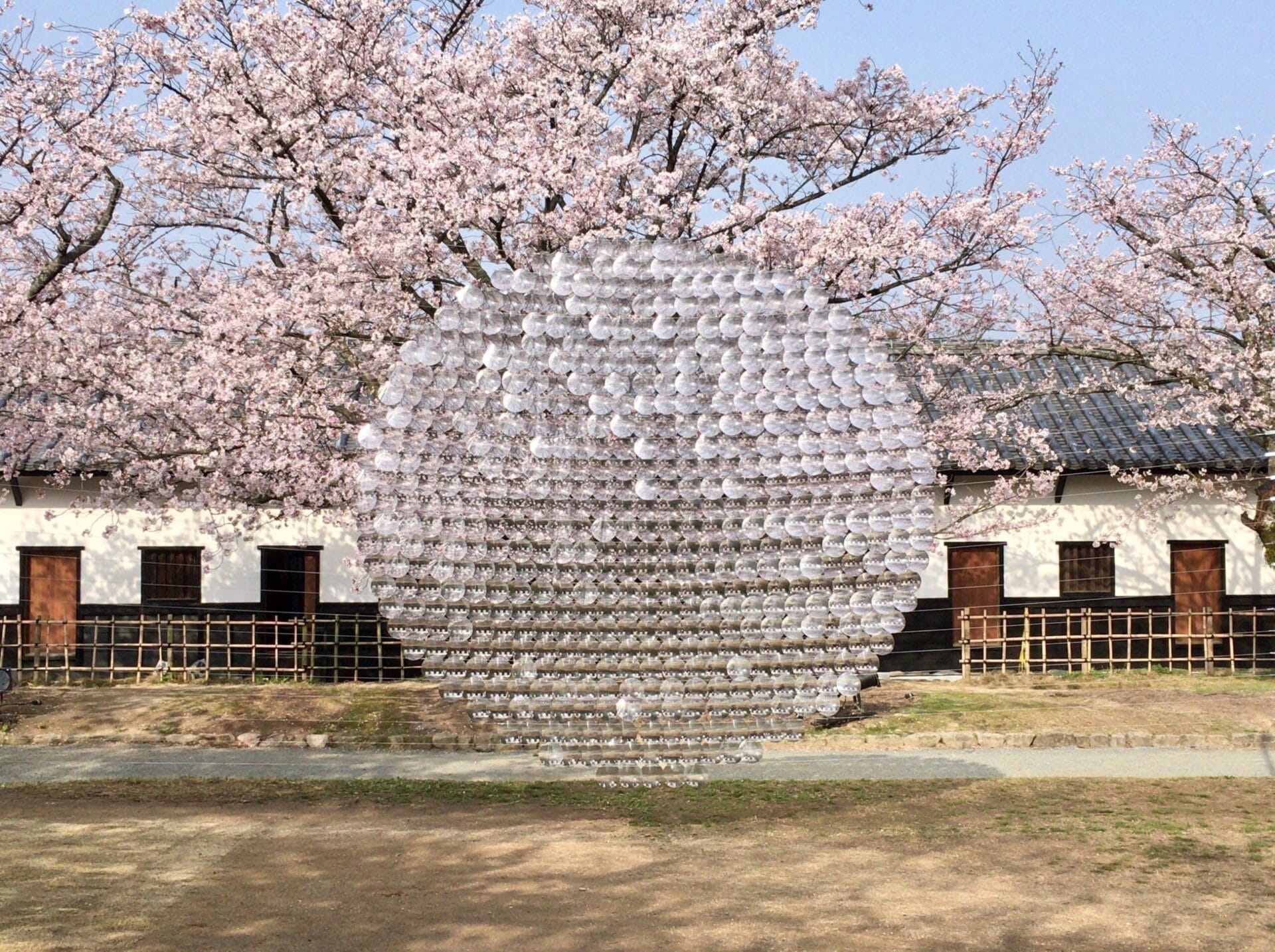 And Still I Rise: 20 Women Artists Reclaim the Australian Art Narrative