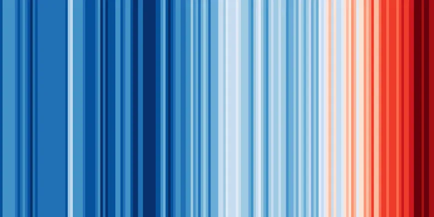 Bar charts won't save the reef baby